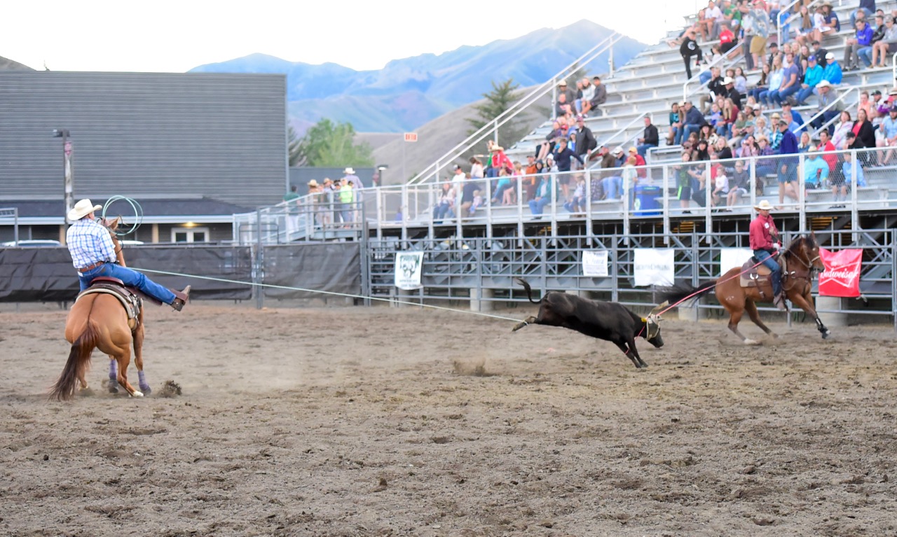 Pittsworth Rodeo Get Tickets - Sawtooth Rangers Riding Club